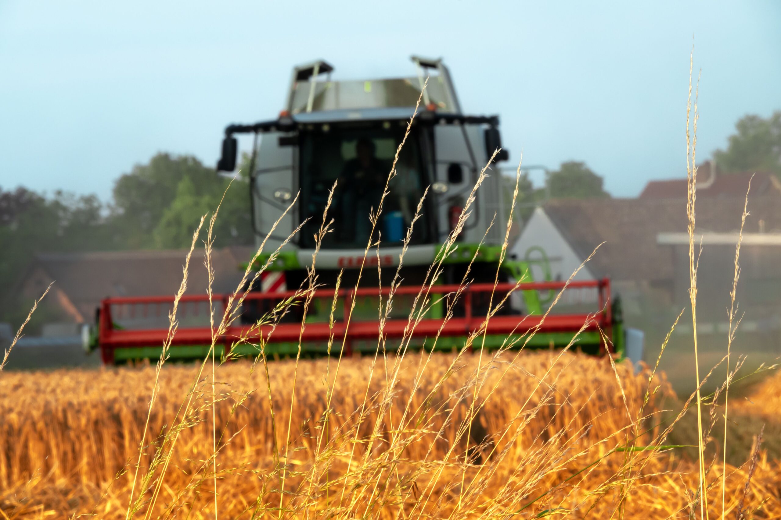 Produção agrícola brasileira superou R$ 927 bilhões em 2025