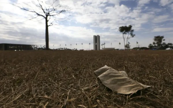 Calor extremo ameaça produtividade, pressiona preços e pode gerar perdas de US$ 2,4 trilhões na economia global