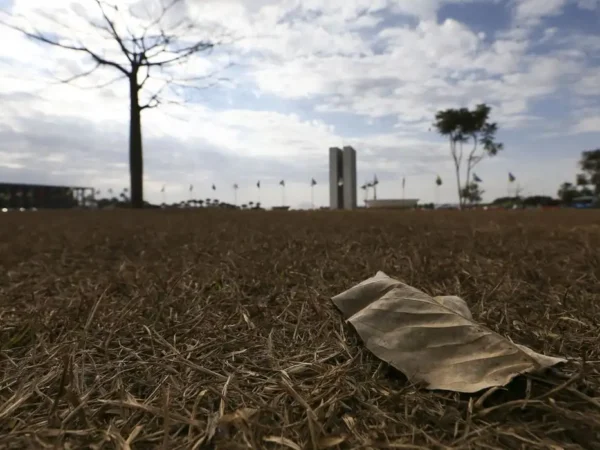 Calor extremo ameaça produtividade, pressiona preços e pode gerar perdas de US$ 2,4 trilhões na economia global