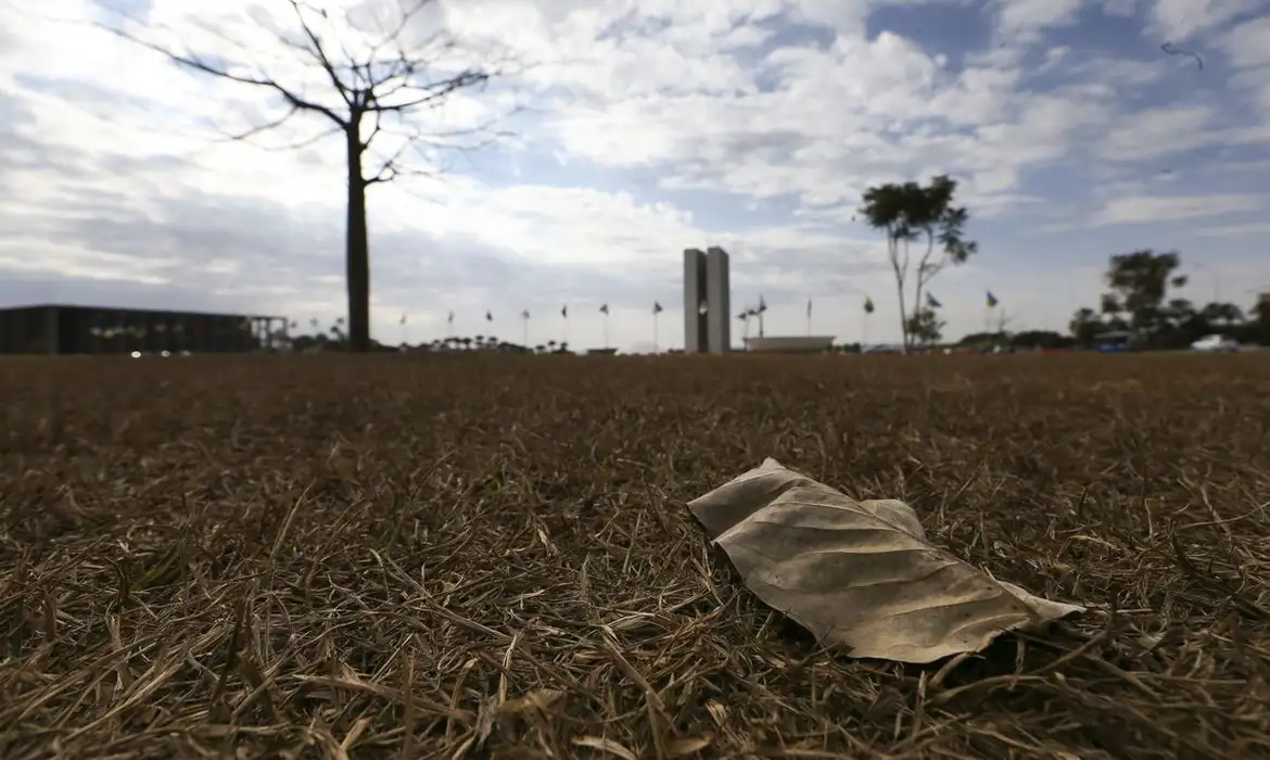 Calor extremo ameaça produtividade, pressiona preços e pode gerar perdas de US$ 2,4 trilhões na economia global